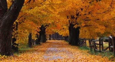 Boje mogu liječiti raspoloženje: Za sreću gledajte u nešto žuto