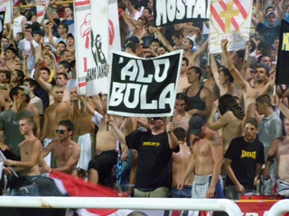 Alo bolan