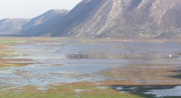 HE Svitava radi bez dozvole jer ugrožava Hutovo blato