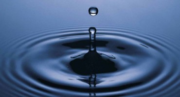 Piće od 0 maraka koje rješava 7 zdravstvenih problema