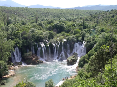 Tarik Razić: Kravica