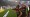"Koljačka" proslava gola izazvala velike nerede navijača Hanse i St. Paulija 