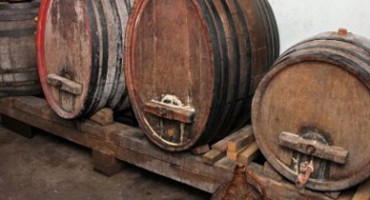 Ljudi i običaji: mlado vino položilo ispit