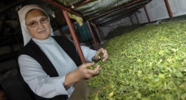 Posušje: Časna sestra prirodnim lijekovima već 30 godina ozdravljuje bolesne