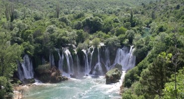 Tarik Razić: Kravica