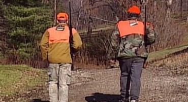Lovačko društvo Radovanj vršit će akcije potjere i odstrela lisica koje haraju općinom Posušje