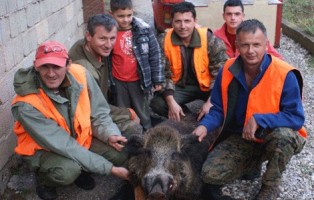 Nesvakidašnji trofej skupine čapljinskih lovaca - ulovili vepra teškog 150 kg !!!