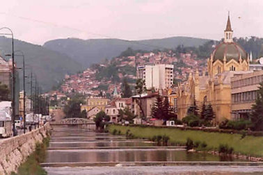 Sarajevo: Jeli sendviče s piletinom i otrovali su se salmonelom?