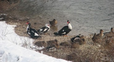  Kakvo vrijeme nas očekuje u siječnju i veljači?