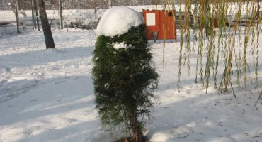 vremenska prognoza