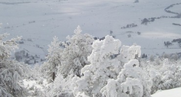 Duvanjske priče: Did i nevista