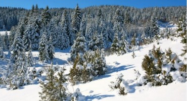 Katarina Zovko Ištuk