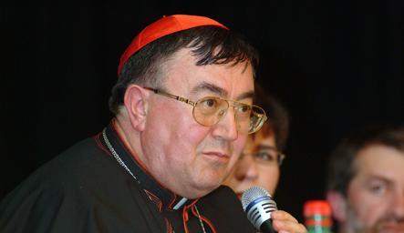 Kardinal Puljić: Izgraditi društvo po mjeri čovjeka