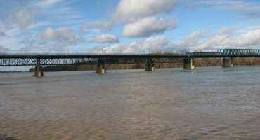 Koncentracija antibiotika pronađena u rijeci Savi 