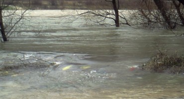 Dopisnik Čapljinskog portala u obilasku svih poplavljenih čapljinskih naselja