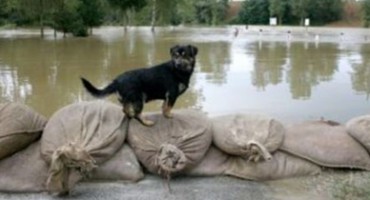 Željko Majstorović: Najveće količine padalina u posljednjih 120 godina