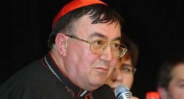 Kardinal Vinko Puljić, HDZ BiH