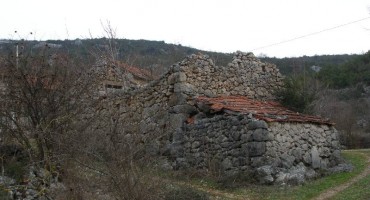 Bijača