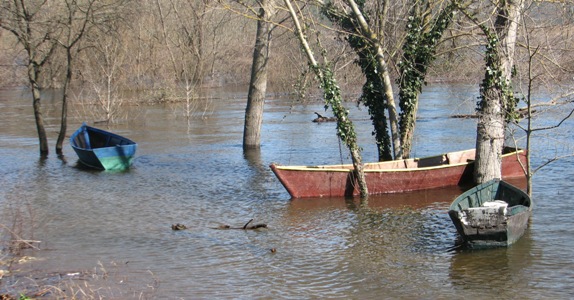 Hutovo blato ovoga proljeća izgleda kao biserno jezero