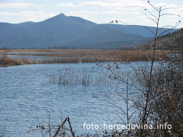 Hutovo blato-Park prirode