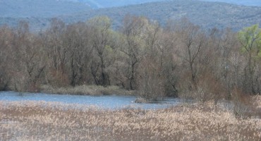 Hercegovačke misterije: Varan, džudžan, što je slijedeće?