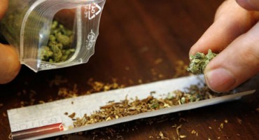 marihuana, droga, marihuana, droga