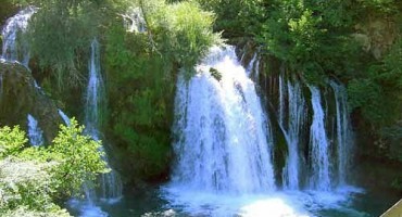 Pjesnici su čuđenje u svijetu i ološ u BiH