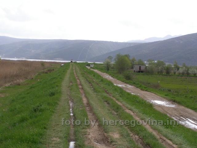 Svitava