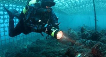 Britanci objavili fotografije blaga u hrvatskom podmorju