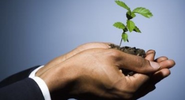 hercegovina osiguranje