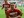 Nogomet: Ribery pauzira još tri tjedna
