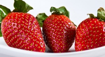 Kiša je ove godine uništila trešnje i jagode u Hercegovini