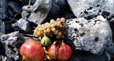 Hrvatska, Hercegovina, Hercegovina