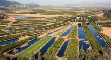 Neretva, more, Dubrovnik, Metković, hidroelektrana