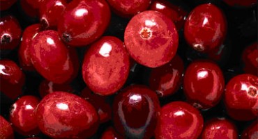 5 supermoći brusnice zbog kojeg biste trebali češće jesti ove crvene bobice