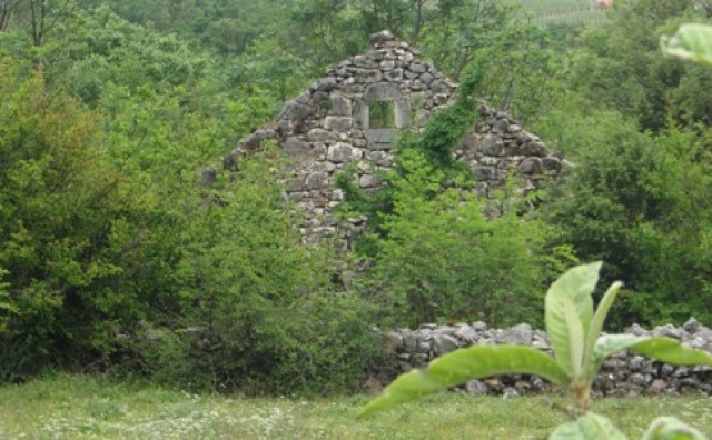 Ljubuški