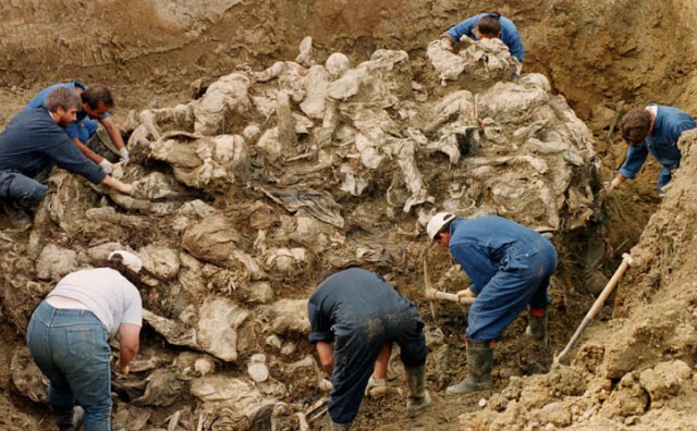 Srebrenica, Zločin u Srebrenici, posavski obzor