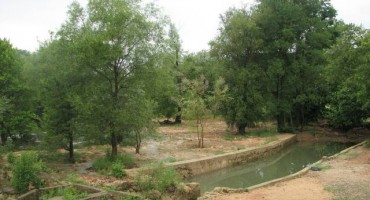 5 razloga zašto biste sutra trebali otići negdje u prirodu