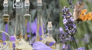 10 prirodnih lijekova za koje ne trebate odlaziti doktoru