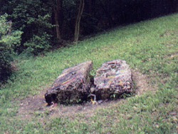 posavski obzor