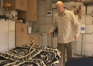 Već 114 dana živi sa 40 zmija otrovnica