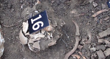 Otvoreno pismo Saboru i Vladi Republike Hrvatske