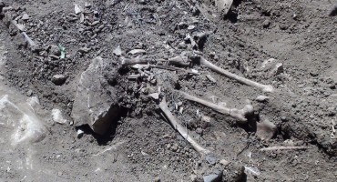 I noge su mu svezali