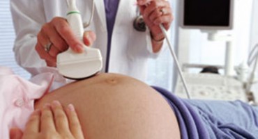 trudnoća, trudnoća