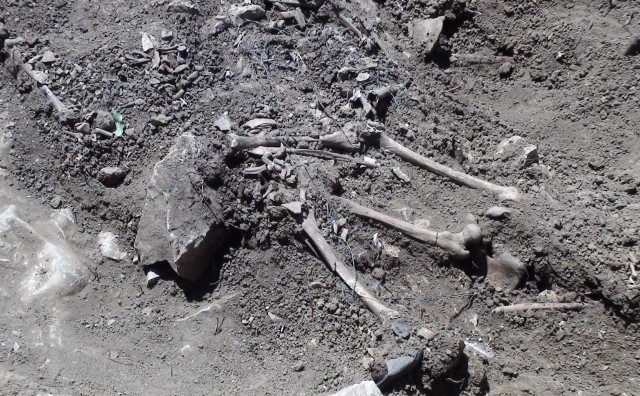 I noge su mu svezali