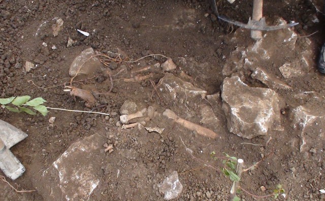 Mostar: Pripadaju li kosti nestalom skitnici?