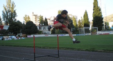 hak zrinjski