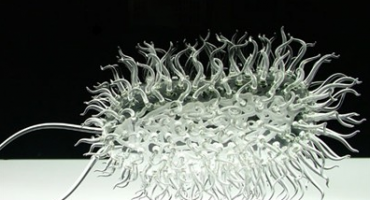 Senzacionalno: Rusi otkrili bakteriju koja će produžiti ljudski život na 140 godina!? 