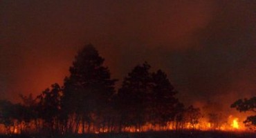 požar, Livno, Ljubuški, požar, MUP ŽZH, žovnica, posao, Mostar, HBŽ, vatra, požar, požari, HNŽ, civilna zaštita