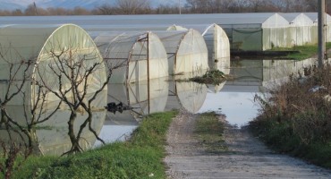 Ovo u BiH je tek jedna epizoda, ovakve pojave će bit češće i ekstremnije